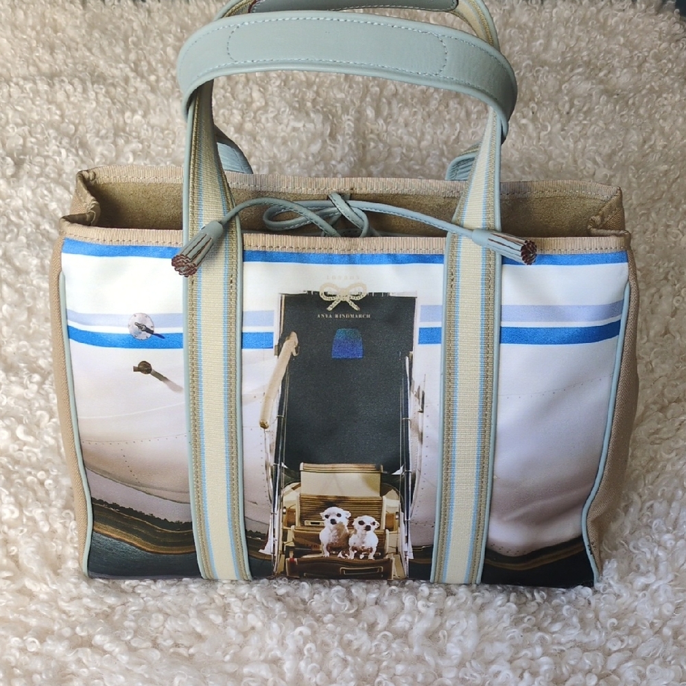 Anya Hindmarch Light Blue and Cream Striped Strap Tote